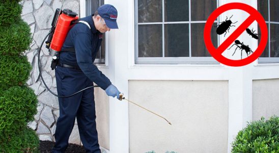 Kozaklı Hamam Böceği İlaçlama böcek ilaçlama ve haşere kontrolü — ilaclama-tr.com